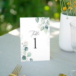 Marque table mariage Eucalyptus romantique