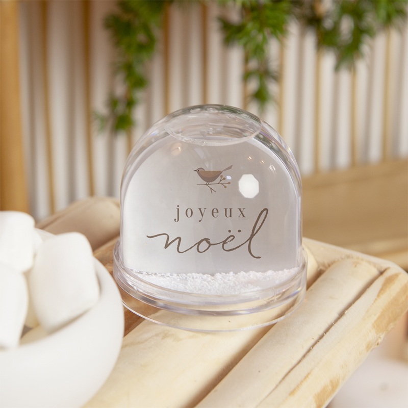 Boule à neige personnalisée L’Envol des Vœux
