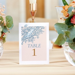 Marque table mariage Love birds