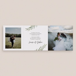 Carte de remerciement mariage Feuillage d'olivier pas cher